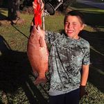 Shawn Thibodeaux - @shawnthibodeaux17 - Instagram