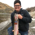 shawntrowbridge - @shawntrowbridge - Instagram