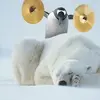 Shawn Tullock - @shawn.tullock - TikTok
