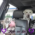 Shawn Vantil - @shawnvantil - Instagram