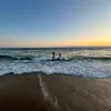 shawn.van - @shawn.van2 - TikTok