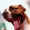 Shawn VanMeter - @yuh.its.shawnnn - TikTok