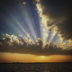 Shawn Veltman - Facebook