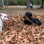 Shawn Vick - @theshawnvick - Instagram