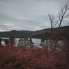 ShawnVick - @shawnvi02 - TikTok