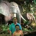 Shawn Vo - Facebook