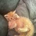 Shaun Wainwright - Facebook