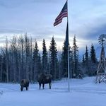Shawna Steiger Wainwright - @steigershawna - Instagram