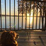 Shawn Weller - @shawnweller2312 - Instagram