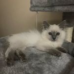 Shawn Welsh - @shawn__welsh - Instagram