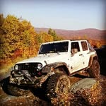 Shawn Whitehead - @shawnscj - Instagram