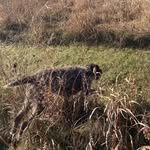 Shawn Whitlock - @s_t_whitlock - Instagram