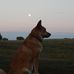 Shawn Willard - Facebook