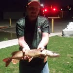 Shawn Willson - @shawn.willson.75470 - Instagram