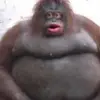 shawnnicholas_windle - @shawnnicholas_win - TikTok
