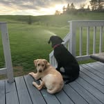 Shawn Wiser - @shawn.wiser.7 - Instagram