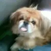 Shawn Wetkowski-Hill - @shawn.wetkowskihi - TikTok