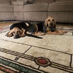 Shawn Yost - @yost_s - Instagram