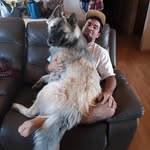 Shawn Young - @shawnyoung_applevalleybikes - Instagram