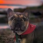 Shawna Anthony Washburn - @boomer_washburn - Instagram