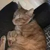 Shawn Casper - @shawn.casper3 - TikTok