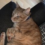 Shawn Casper - @scasper58 - Instagram