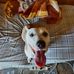 Shawn Clement - Facebook