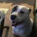 Shawna Gates - Facebook