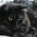 Shawna Graham - Facebook