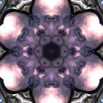 Shawn Harrell - @blow.monk - Instagram