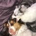 Shawna Normandin Jesse - Facebook