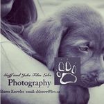 Shawn Knowles - @shawn_knowles_photography - Instagram
