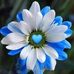 Shawna Weekes Leonard - Facebook