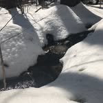 Shawn Morse - @_shawny_spam_ - Instagram