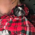 Shawn Munoz - @shawnmunoz712 - Instagram