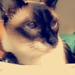 Shawna Powers - @shawnapowers6763 - Instagram