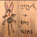 Ivory +Ruby Farms - @shawnarichtsmeier - Instagram