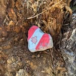 Shawna Ryan - @shawna_ryan1973 - Instagram