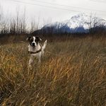 Shawna Schmidt - @marriedmayhem - Instagram