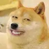 Shawna Schmidt - @shawna.schmidt6 - TikTok