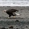 Shawn Short - @shawn.short18 - TikTok