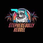 Shawna Stephens - @sbk21123 - Instagram