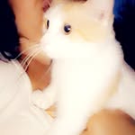 Shawnastevens8 - @shawna.stevens8 - Instagram