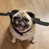 user5293729387410 - @shauna_ulrich - TikTok