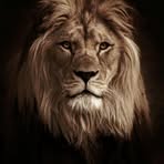 Shawn Wagner - Facebook