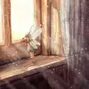 shawnaware - @shawnaware - TikTok
