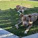 Shawn Weaver - Facebook