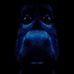 Shawne Johnson - Facebook