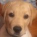 Barbara Shay - Facebook