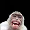 Lashay - @lashay_bates12 - TikTok